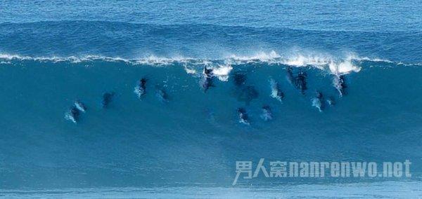 问答交流平台整半年!约9000乌军官兵阵亡,这场战役何时才能结束?,解决问题的地方